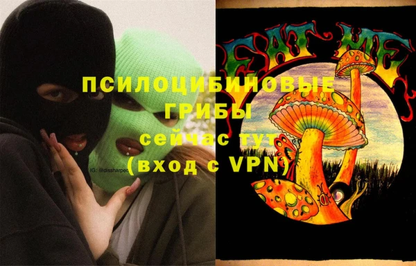 метадон Белокуриха