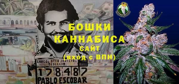 трава Богданович