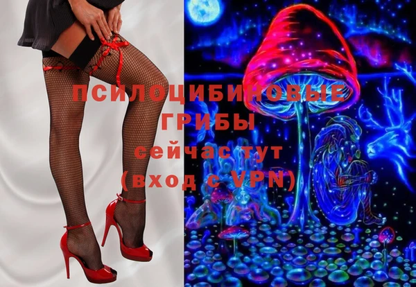 меф Богородицк