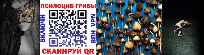 Псилоцибиновые грибы прущие грибы  Купить закладки  Майский 